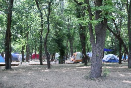 Автокемпинг в Учкуевке «Зеленый остров»