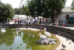 Севастопольский зоопарк