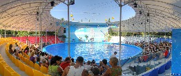 Дельфинарий «Немо» в Алуште